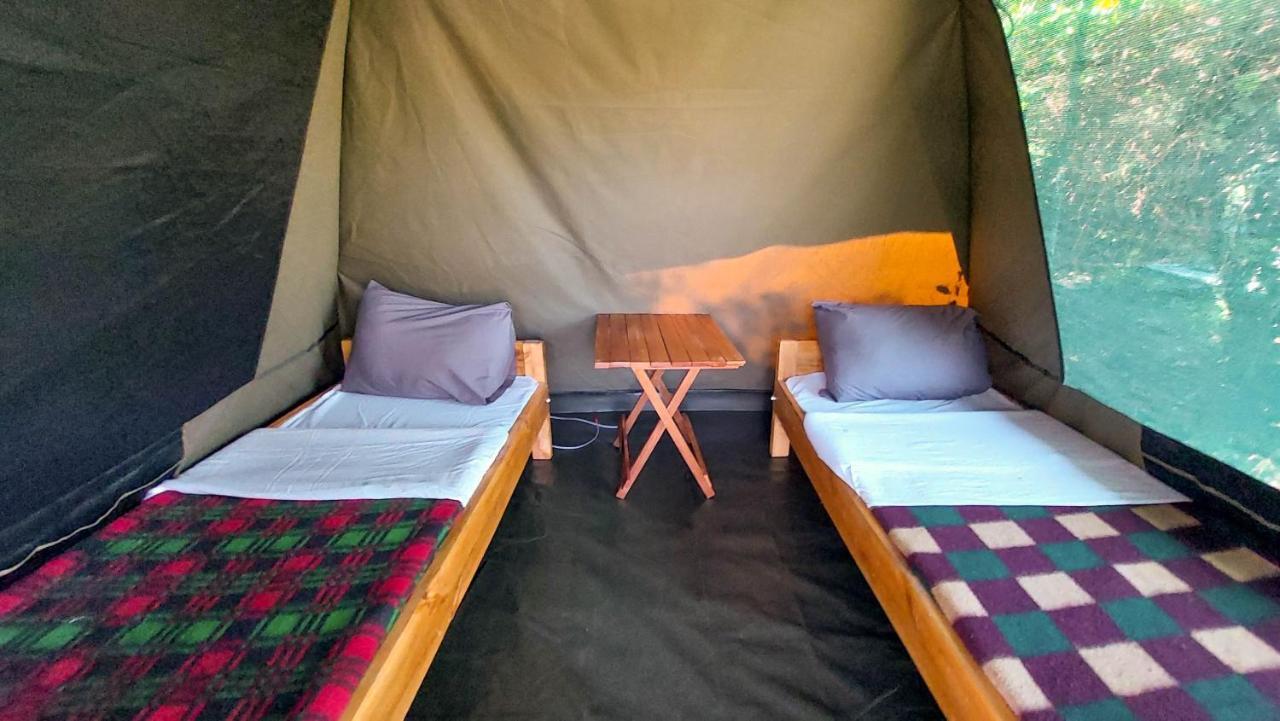 Greenwood Safari Camp Talek 外观 照片