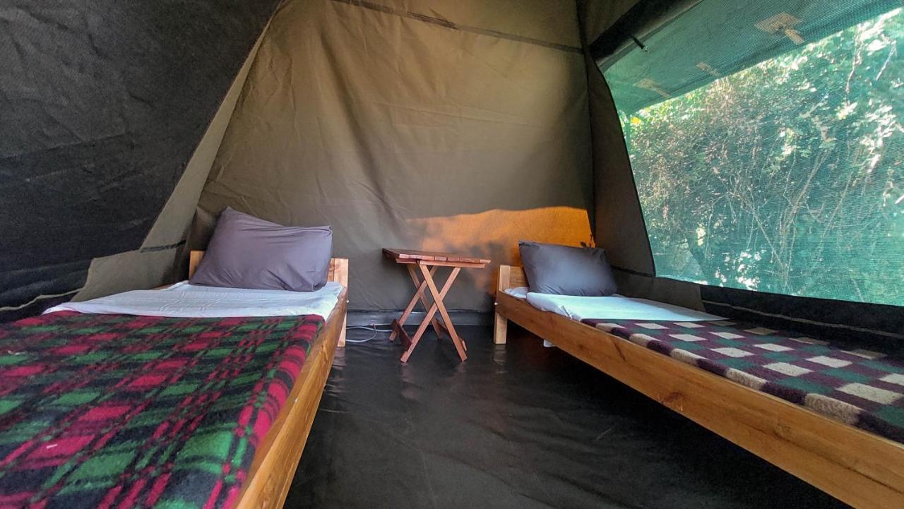 Greenwood Safari Camp Talek 外观 照片