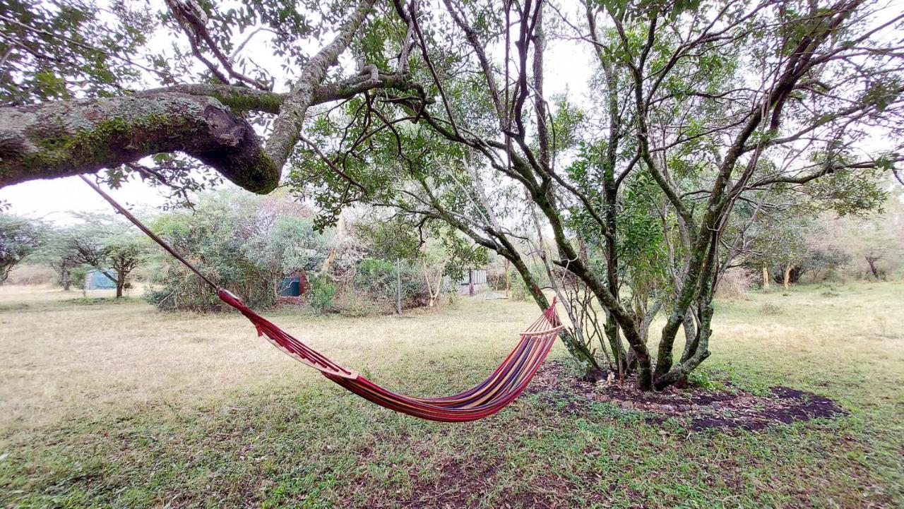 Greenwood Safari Camp Talek 外观 照片