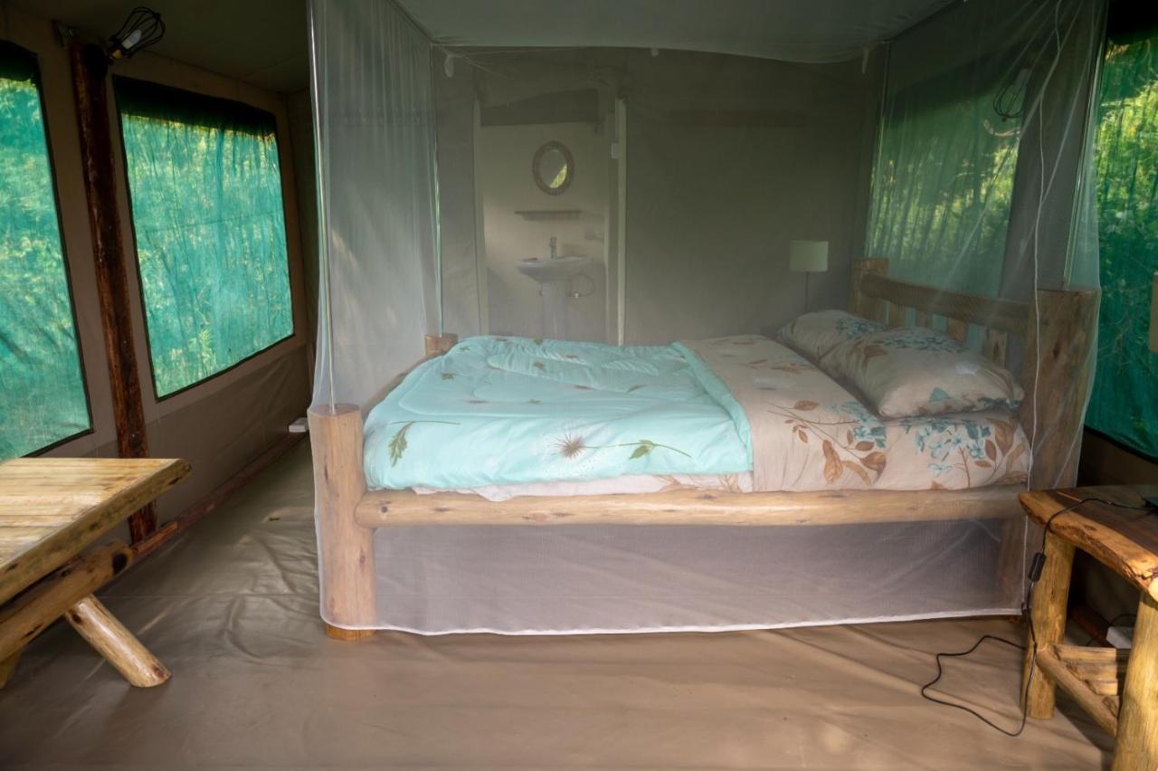 Greenwood Safari Camp Talek 外观 照片