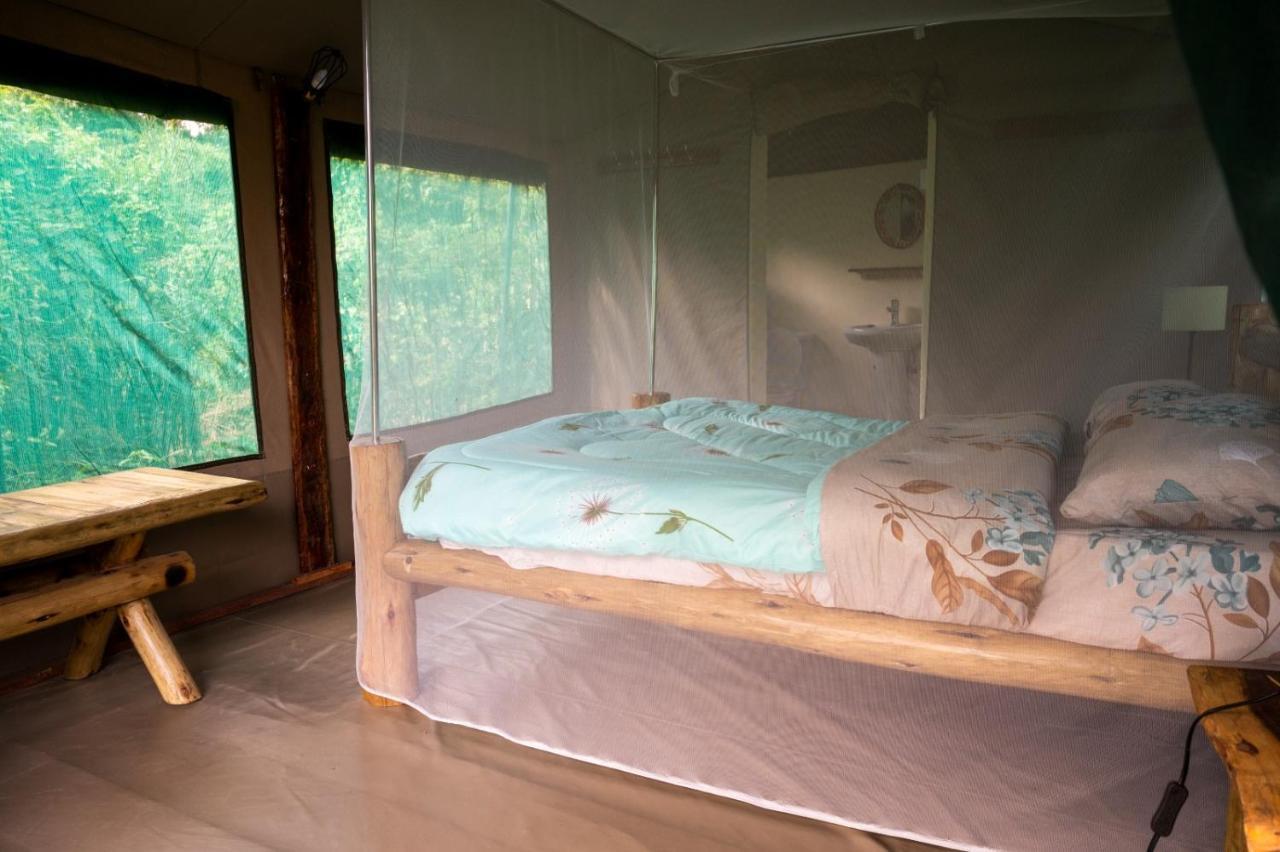 Greenwood Safari Camp Talek 外观 照片